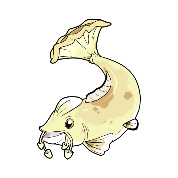 Enoki koi