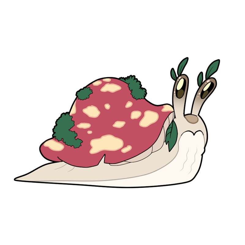 Shroomollusc